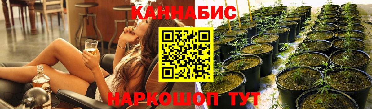 Бошки Шишки план  Каннабис LSD WEED  Канабис конопля  Марихуана марихуана  Вход с VPN  Усть-Джегута 